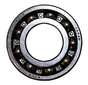 Spårkullager 6004